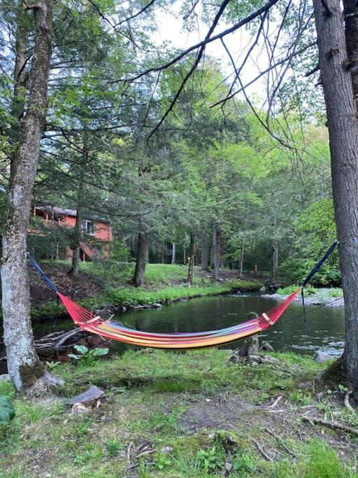 Peaceful Gateway To Island Creek Cottage 东斯特劳兹堡 外观 照片
