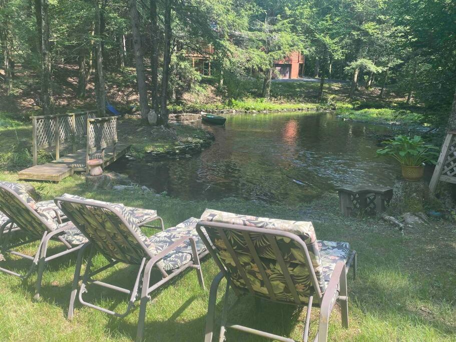 Peaceful Gateway To Island Creek Cottage 东斯特劳兹堡 外观 照片