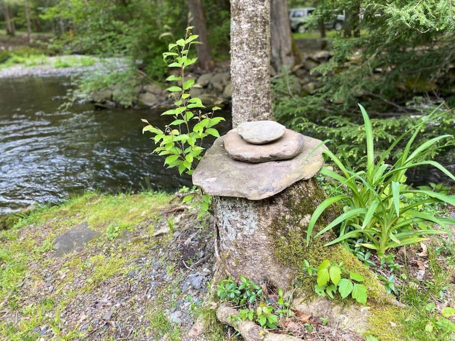Peaceful Gateway To Island Creek Cottage 东斯特劳兹堡 外观 照片
